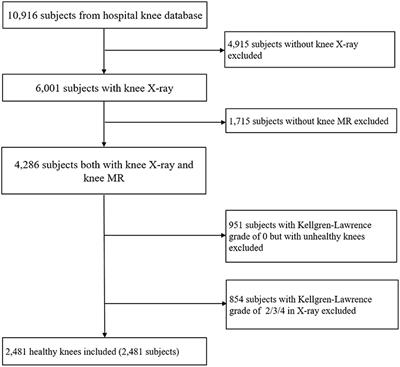 Knee Cartilage Thickness Differs Alongside Ages: A 3-T Magnetic Resonance Research Upon 2,481 Subjects via Deep Learning